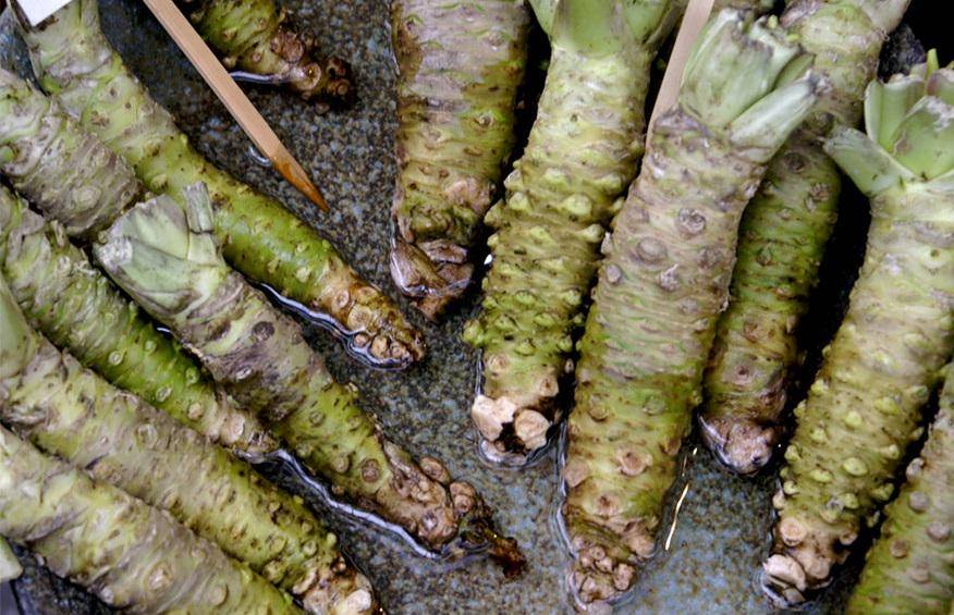 https://cdn.idntimes.com/content-images/post/20170223/how-food-grow-31-58aadfc50713b-880cc-00246b02be567b11d4accb569a1ebabd.jpg
