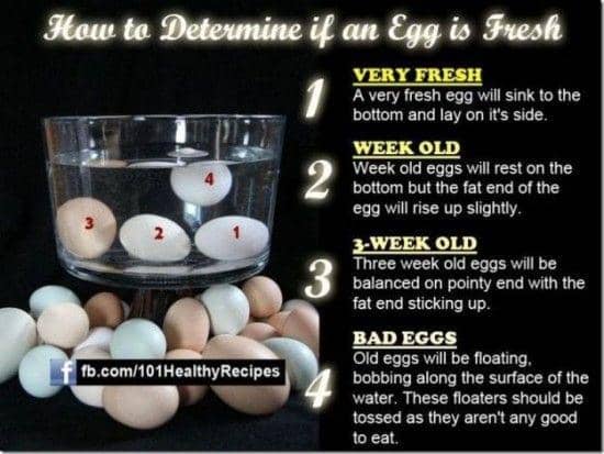 https://cdn.idntimes.com/content-images/post/20160919/how-to-tell-if-an-egg-is-fresh-23f4211c3c8150c7a366a5406e4ace91.jpg