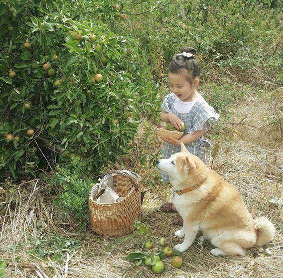 http://cdn.idntimes.com/content-images/post/20160125/imut12-bbdd5f3f5f79f0a03e98be83625a449b.jpg