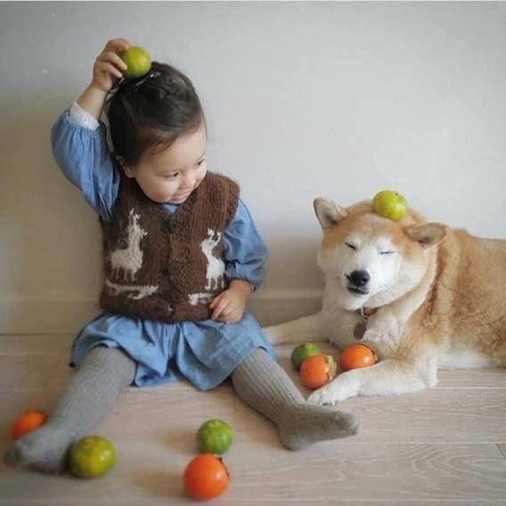 http://cdn.idntimes.com/content-images/post/20160125/imut18-10800c8d8fc83a1298057825304af84c.jpg