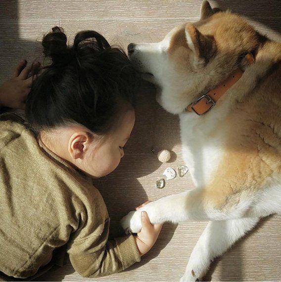 http://cdn.idntimes.com/content-images/post/20160125/imut22-d318f0f380eccf246e0136ba678caf19.jpg