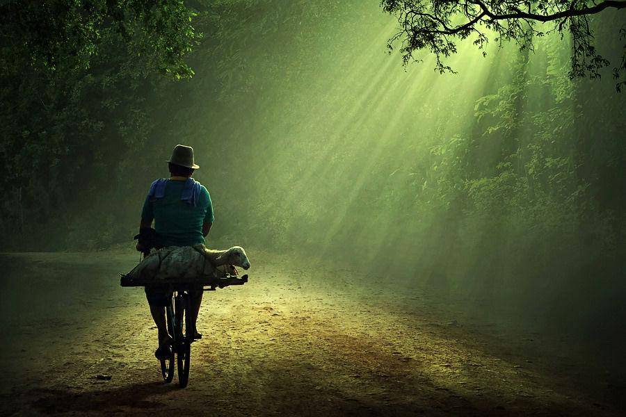 http://cdn.idntimes.com/content-images/post/20160414/indonesia4-jellyfieldscom-147cf5f0319fde023c54d308b1e85b14.jpg