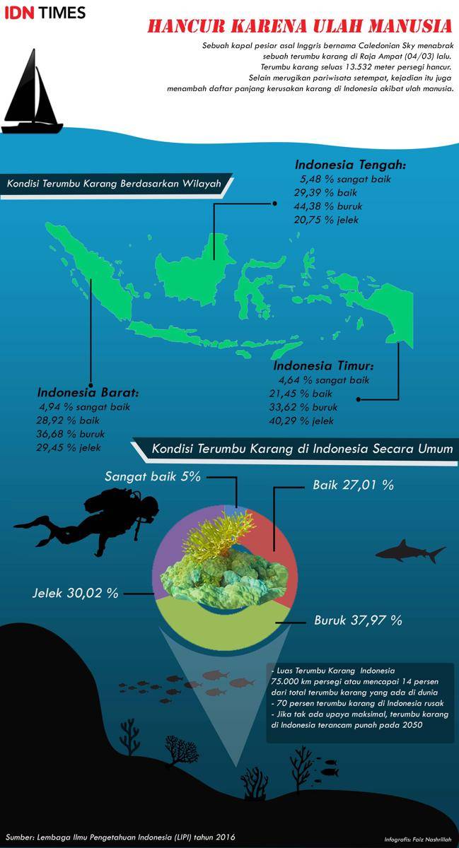 https://cdn.idntimes.com/content-images/post/20170316/infografis-karang-143371ce2539c20a7dad14cb11b89503.jpg