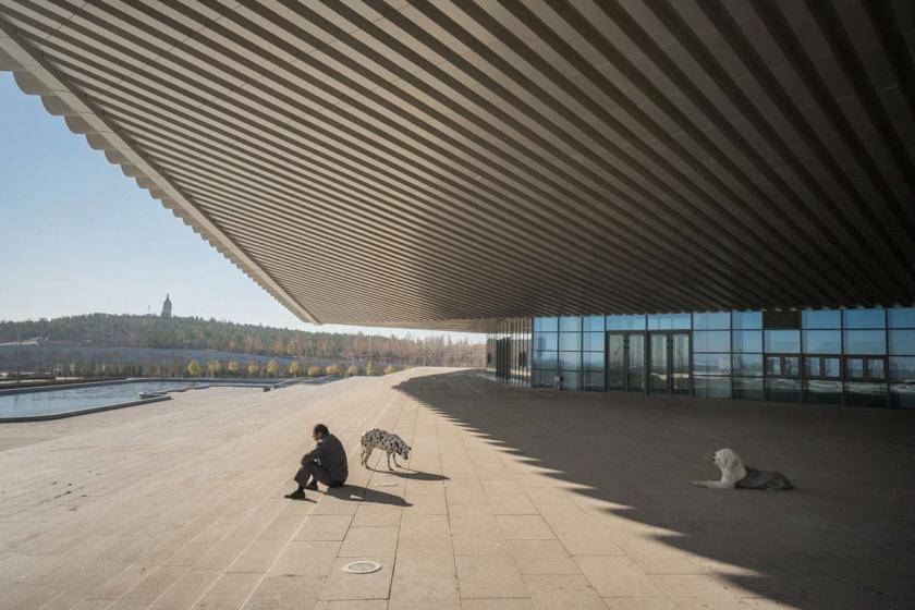 https://cdn.idntimes.com/content-images/post/20170321/kangbashi-new-area-ordos-dogs-61a34ed2d926eb0c2dd24471dd4e20f3.jpg