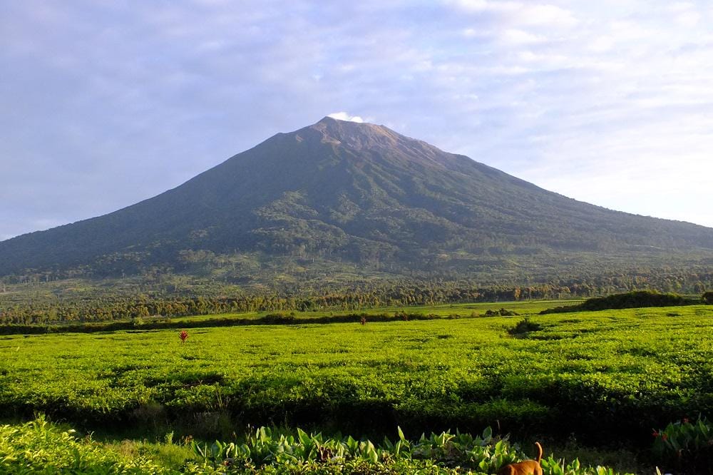 https://cdn.idntimes.com/content-images/post/20160913/kerinci-e365e1c784738ebec705ef90b10473f8.jpg