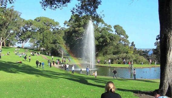 http://cdn.idntimes.com/content-images/post/20160331/kings-park-and-botanic-garden-83abd47d1e1caf8a94aa9bc5ad4385f9.jpg