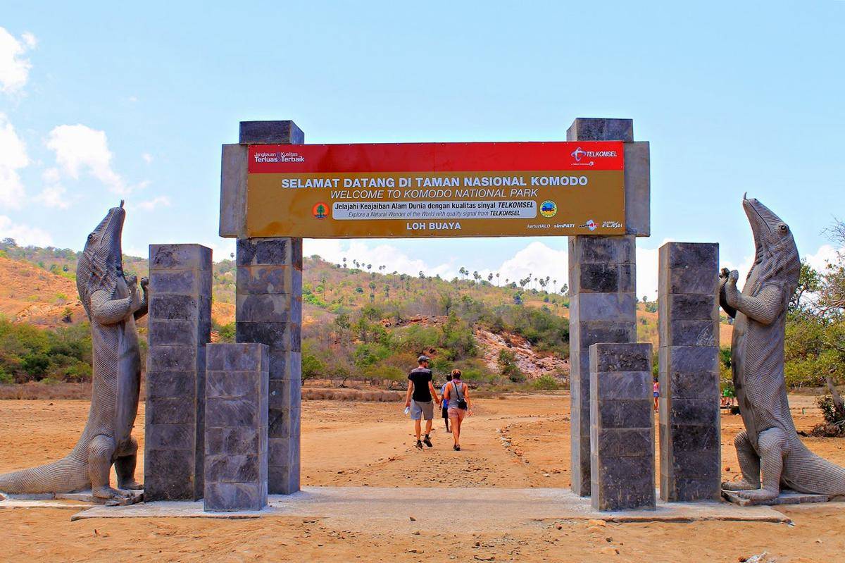 https://cdn.idntimes.com/content-images/post/20170306/komodo-1-ecdb6982b32d3a2d3c858c2c8d2d8b92.jpg