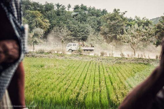 http://cdn.idntimes.com/content-images/post/20160312/korutsawah-054784f906d5bd712fcea94c188c713c.jpg