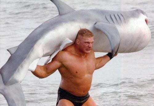https://cdn.idntimes.com/content-images/post/20160926/manliest-man-brock-shark-7b91d7c25df7d0595b304395763326c0.jpg