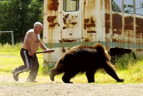 https://cdn.idntimes.com/content-images/post/20160926/manliest-man-russia-bear-a89ea87dc81c6fe92bb117362fc8c79d.jpg