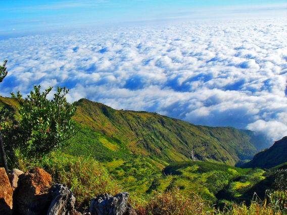 http://cdn.idntimes.com/content-images/post/20150915/merbabu_filckr.com-w568-h500.jpg