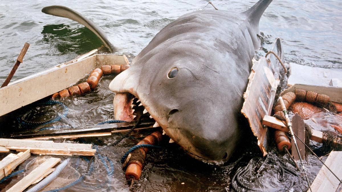 https://cdn.idntimes.com/content-images/post/20161103/mw-dn685-jaws-0-zg-20150609130159-31bf6c56ecfdfa5a435d24e7c8ae1c7c.jpg