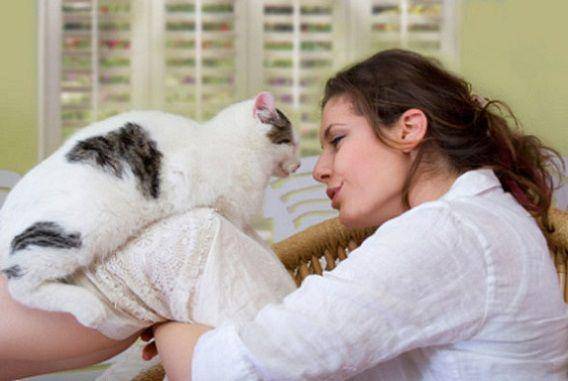 http://cdn.idntimes.com/content-images/post/20151119/ngobrol-3ea5f0bd3601054b15017fd0c9864b93.jpg