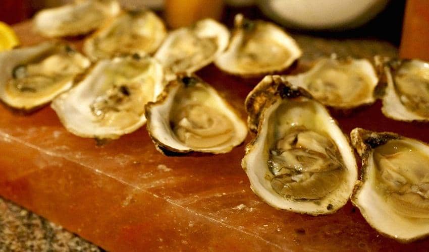 http://cdn.idntimes.com/content-images/post/20160806/oyster-pixabay-101a72ebd1d6d3bbd29bf50c34aa2924.jpg