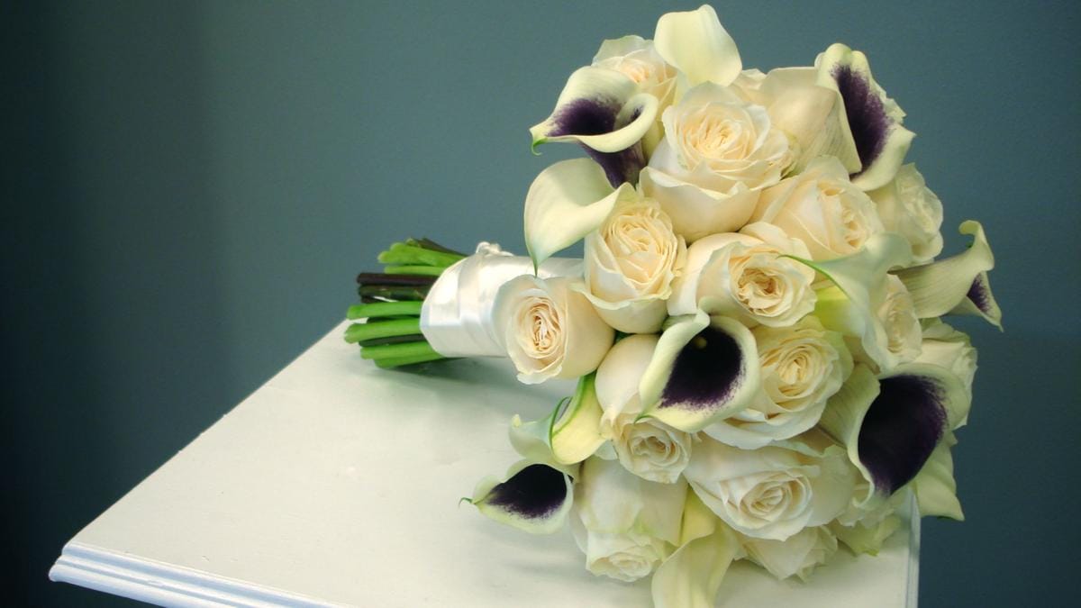 https://cdn.idntimes.com/content-images/post/20161206/picasso-callas-ivory-roses-ivory-calla-lily-bridal-bouquet-24747464b48993a6bef82b459a336e48.jpg