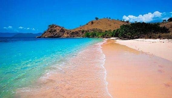 http://cdn.idntimes.com/content-images/post/20151210/pinkbeach-e88ec8a6767441e2aa87810694a272d0.jpg