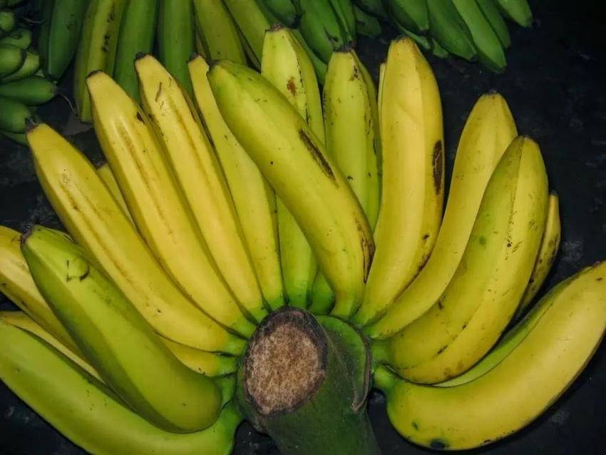 https://cdn.idntimes.com/content-images/post/20161028/pisang-b4ad6995ba80cb8a56c29b016a97985c.jpg