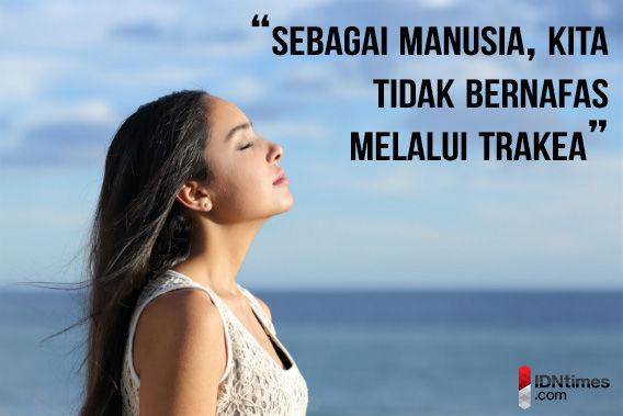 http://cdn.idntimes.com/content-images/post/20160109/poin24bijak-radiancedentalhygiene-ca-1eda6da8b9530b521720316b6b205513.jpg