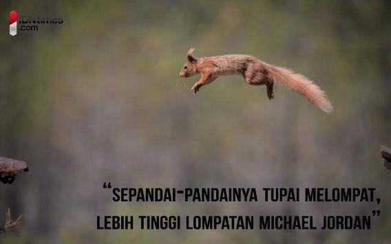 http://cdn.idntimes.com/content-images/post/20160109/poin6bijak-www-wallpaperup-co-e26e716c6dcf8a9ff36ffa4fdeabf7c6.jpg