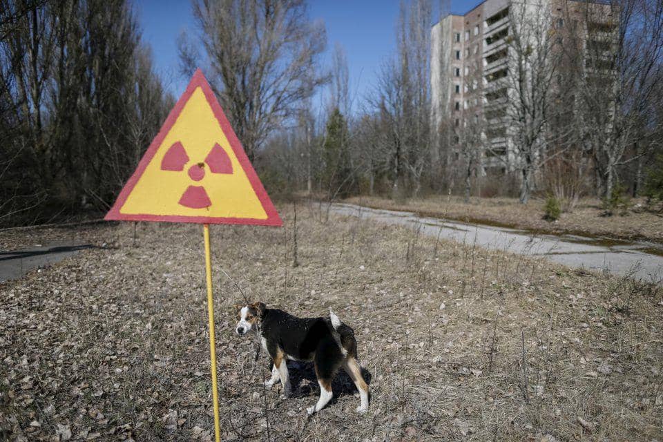 https://cdn.idntimes.com/content-images/post/20170428/reports-have-been-made-that-although-no-human-life-is-in-chernobyl-scours-of-animal-life-has-since-thrived-near-the-disaster-site-1de812a0f1c53a11534fffa0b09e81a5.jpg