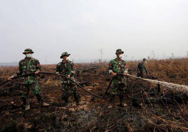http://cdn.idntimes.com/content-images/post/20151031/riau3.jpg