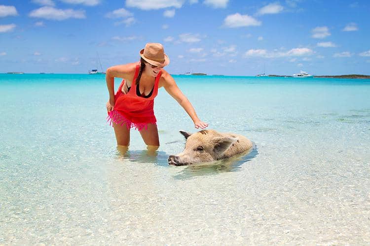 https://cdn.idntimes.com/content-images/post/20170414/sailing-blog-cruising-bahamas-caribbean-exumas-big-major-spot-staniel-cay-pig-beach-swim-with-the-pigs-lahowind-eimg-4236-8b3094bbd58fe9cdb51147ddb2348ed3.jpg