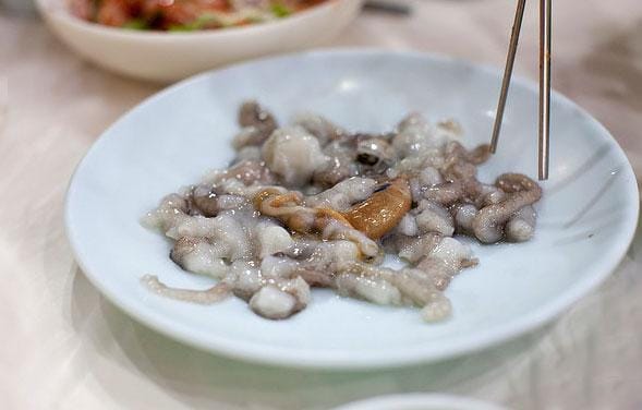https://cdn.idntimes.com/content-images/post/20160930/sannakji-live-octopus-7af7f4cd98d21557bf768eaa8c2eb912.jpg