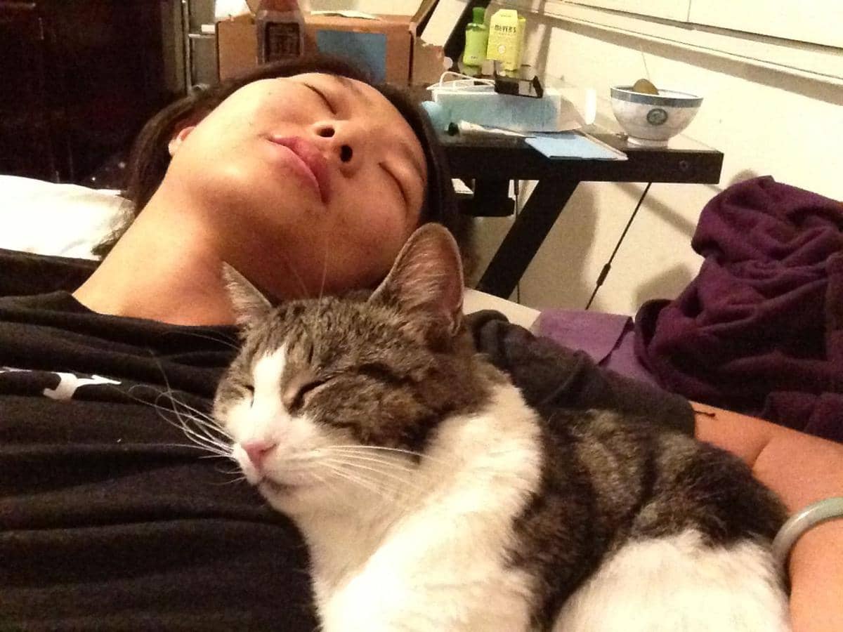 http://cdn.idntimes.com/content-images/post/20151205/sleeping-with-cat-a2bb24dd297416e7c7a58199ce0d8904.jpg