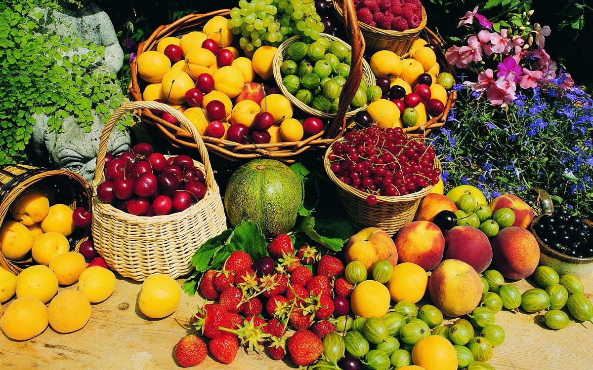 https://cdn.idntimes.com/content-images/post/20161206/spring-fruits-3c73e57d6fe7d283b12f8cd7e105fc8e.jpg