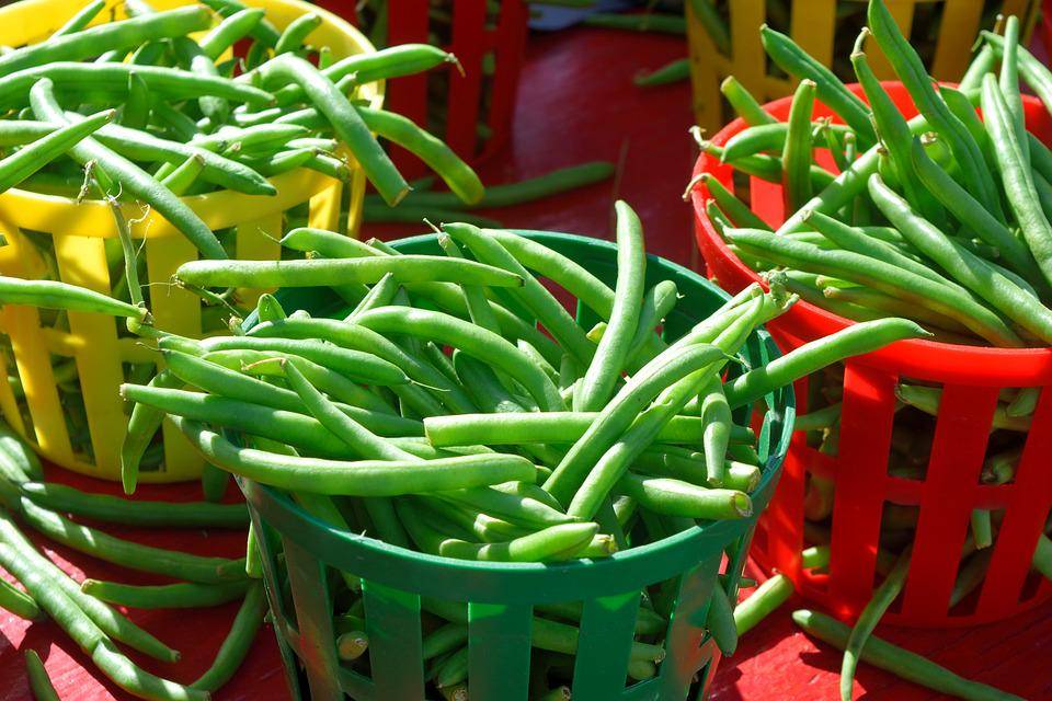 https://cdn.idntimes.com/content-images/post/20180223/string-beans-2900902-960-720-60d8f71748e90d6aa3026d9ae29f46bc.jpg