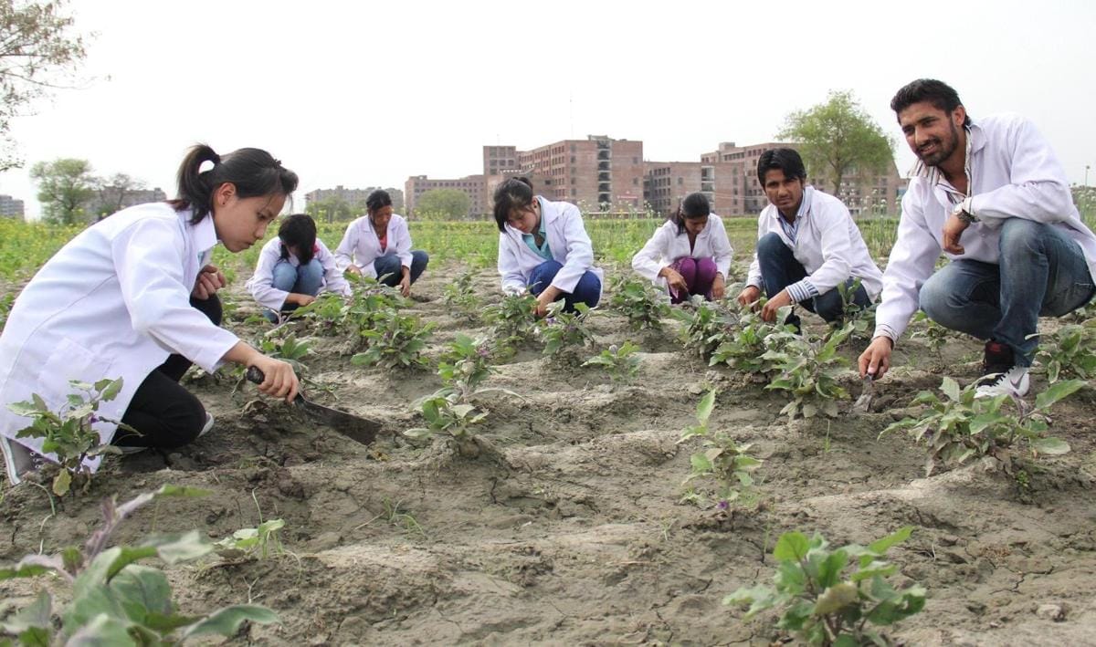 https://cdn.idntimes.com/content-images/post/20170102/students-of-bsc-agriculture-doing-organic-farming-at-lpu-campus-b0b5b1ee3f6319c9cb394863656cc767.jpg