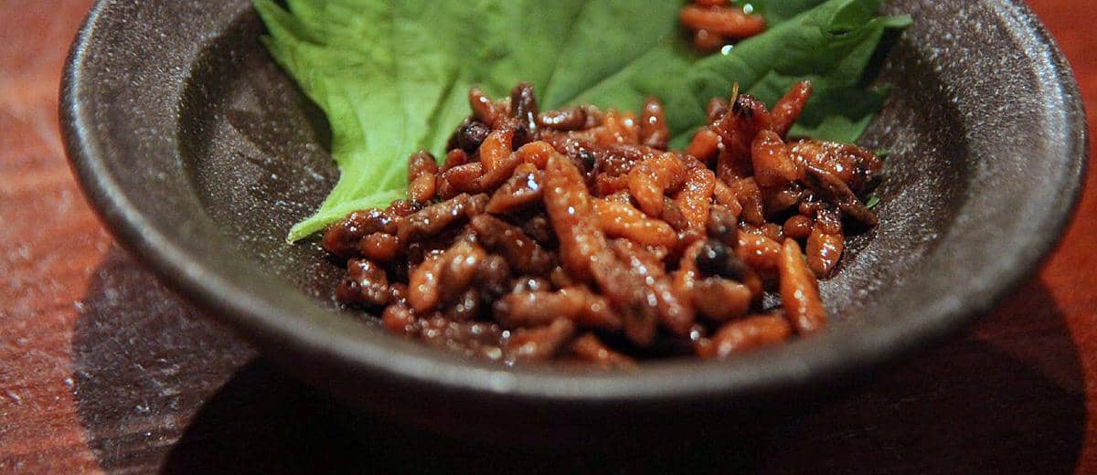 https://cdn.idntimes.com/content-images/post/20170125/taste-naganos-traditional-dishes-larvae-and-locusts-howisjapancom-01dc8ebfee339f98b99d792070a9c6d4.jpg