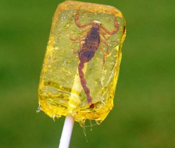 http://cdn.idntimes.com/content-images/post/20160617/the-world-s-top-10-most-amazing-lollipops-5-1d77c6f89e79b58142c25db96aad8e64.jpg