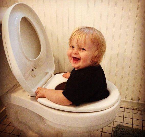 http://cdn.idntimes.com/content-images/post/20151119/toilet-260b380208842c9abaa1ba9c9a9de745.jpg
