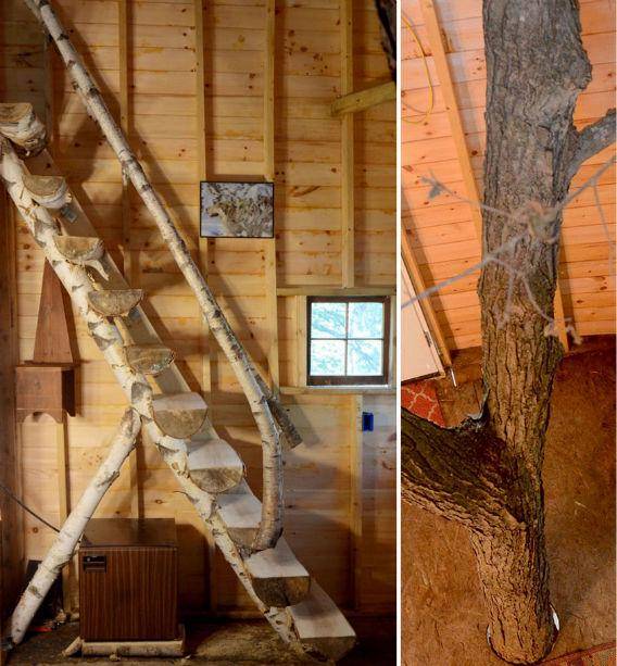 http://cdn.idntimes.com/content-images/post/20151006/tree1.jpg