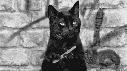 http://cdn.idntimes.com/content-images/post/20160823/tumblr-n8hopswbur1tx21j0o1-500-bb37f82fccc26b9d9772aa4d1508b0b4.gif