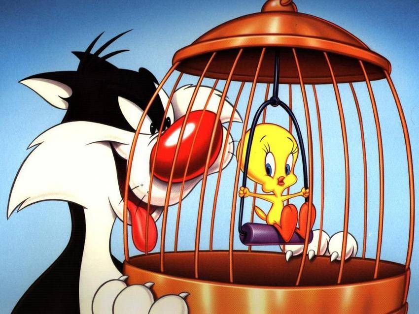 https://cdn.idntimes.com/content-images/post/20170305/tweety-28d68dc9781e64bfcb64537f839a7151.jpg