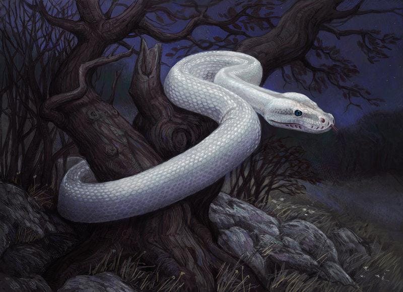 http://cdn.idntimes.com/content-images/post/20160209/white-snake-by-atenebris-d5kyu80-89c78fbfe02471eb858ff8ef4882952b.jpg
