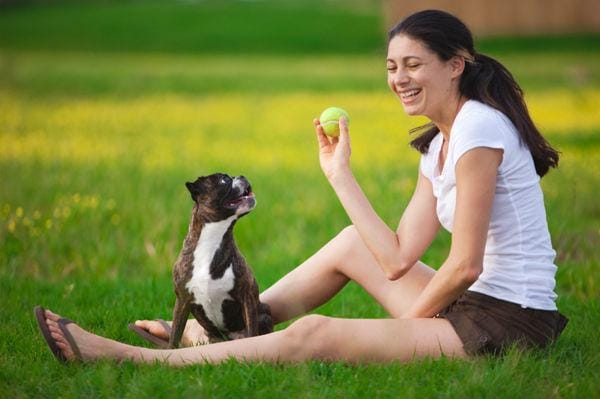 http://cdn.idntimes.com/content-images/post/20160207/woman-playing-ball-with-dog-09480d966ef27d013b7832b4963b92dc.jpg