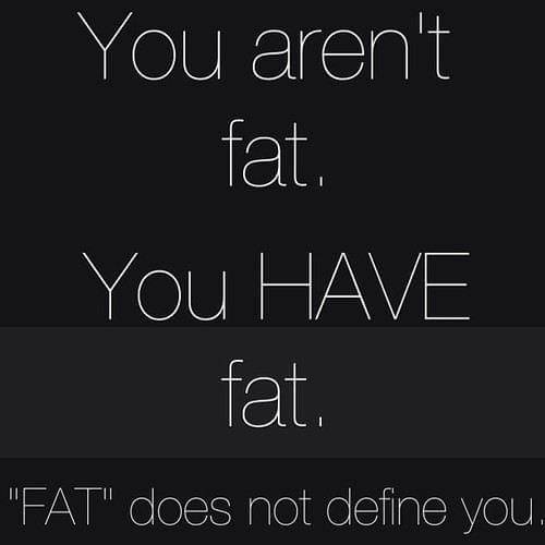 https://cdn.idntimes.com/content-images/post/20170515/you-are-not-fat-you-have-fat-fat-does-not-define-you-964673-24738ae10430177b8a827d86fe6c67e9.jpg