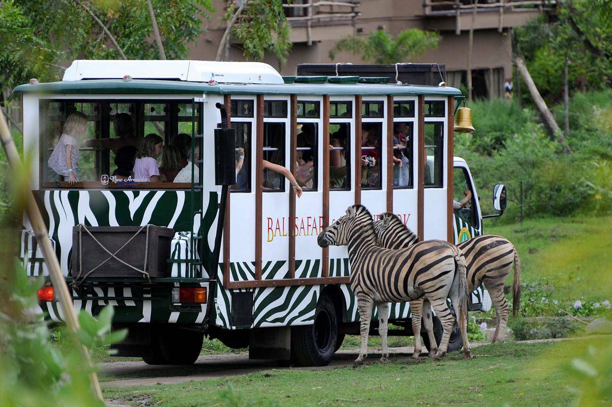 http://cdn.idntimes.com/content-images/post/20160813/zoo5-e82af1b09b2f5b81a8fd34bbe68f021c.jpg