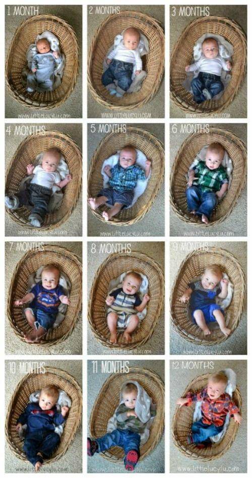 https://cdn.idntimes.com/content-images/post/20170713/7ccf20a5f320f3060435157f27fe588a-baby-monthly-photo-ideas-girls-baby-monthly-pictures-ad054a8444dcd026c3f3406b35730cdb.jpg