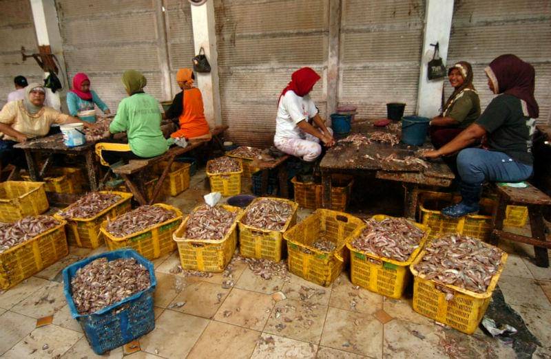 https://cdn.idntimes.com/content-images/post/20170607/antarafoto-industri-pemisahan-daging-ikan-150517-ol-9217cbd24e38246382f58f495b6e4fc4.jpg