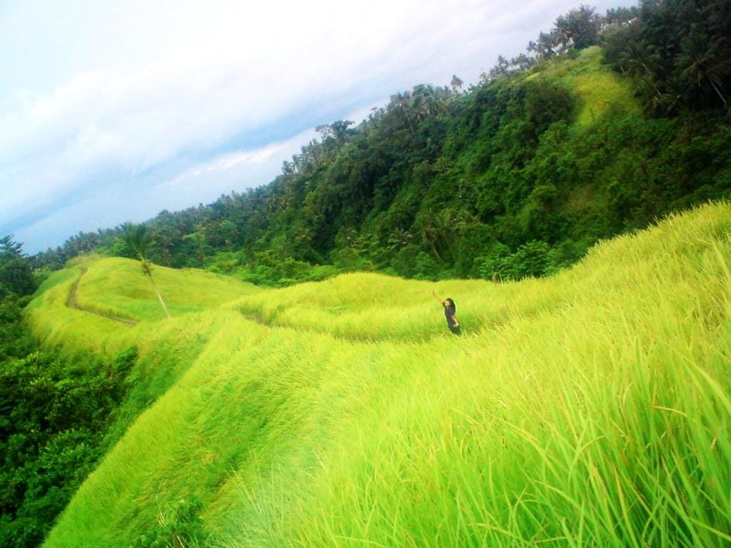 https://cdn.idntimes.com/content-images/post/20170710/bukit-campuhan-ubud2-8b7b0686459ad05a648a1c48e8018a45.jpg