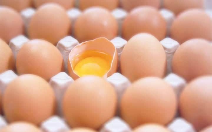 https://cdn.idntimes.com/content-images/post/20170605/eggs-1-large-trans-nvbqzqnjv4bqeo-i-u9apj8ruoebjoaht0k9u7hhrjvuo-zlengruma-cd0cd3547992b6d0377fafa586ca14e4.jpg