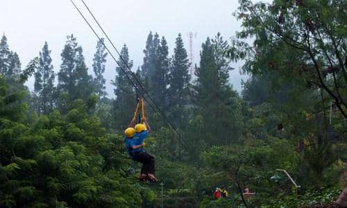 https://cdn.idntimes.com/content-images/post/20170714/flying-fox-500x300-986f2fa0b5ffd513027817ffd304d6b0.jpg