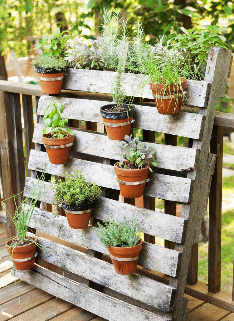 https://cdn.idntimes.com/content-images/post/20170614/pallet-herb-garden-0ecdbe11a1cb444c0c7a02c324ab1869.jpg