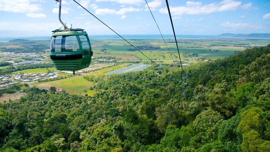 https://cdn.idntimes.com/content-images/post/20170719/skyrail-rainforest-cableway-40274-6ea40e59349a0cb22bce198bff492737.jpg