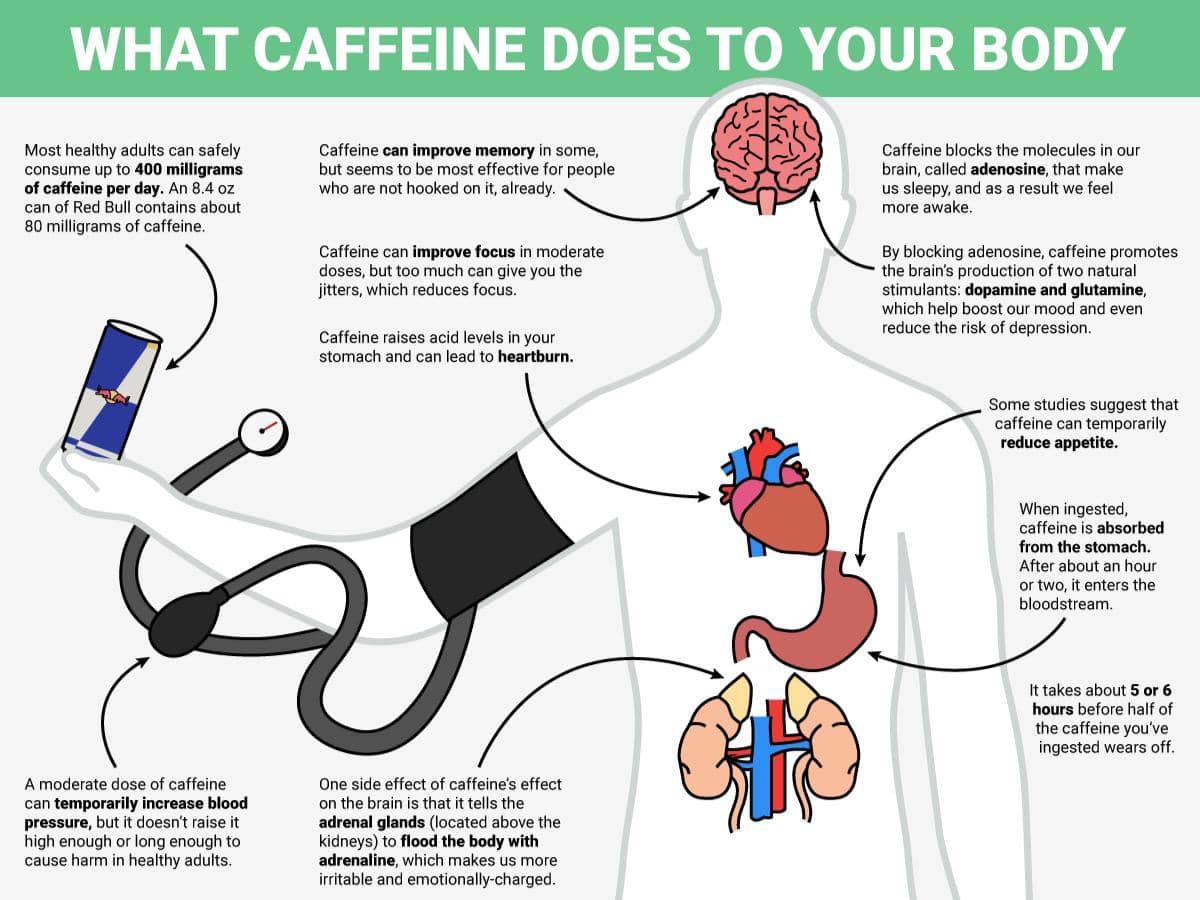 https://cdn.idntimes.com/content-images/post/20170731/surprising-ways-that-caffeine-affects-your-body-and-brain-ddb3397828e7c087f5799a4f1c553488.jpg
