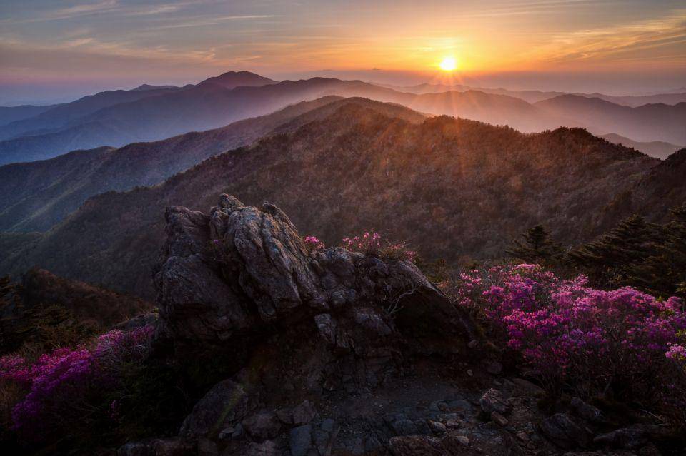 https://cdn.idntimes.com/content-images/post/20170712/taman6-2b5000a6673e7368a41c7b27c0f84b3b.jpg